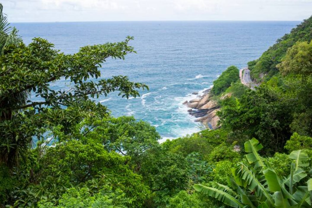 Lush green foliage frames a serene view of the ocean, where gentle waves meet rocky shores. The landscape reveals a winding road meandering along the coastline, surrounded by verdant hills under a partly cloudy sky.
