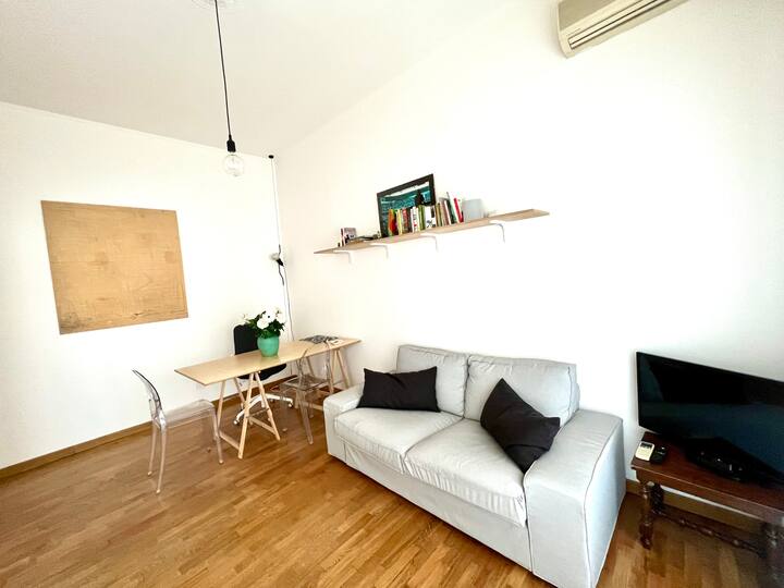 Nice and large studio in Ticinese