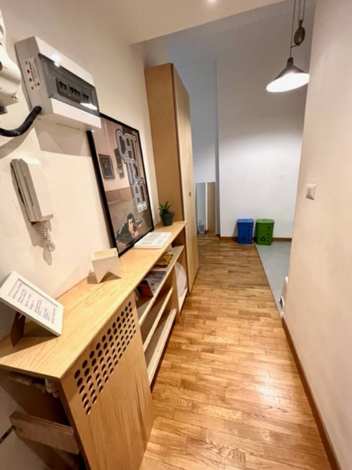 Nice and large studio in Ticinese