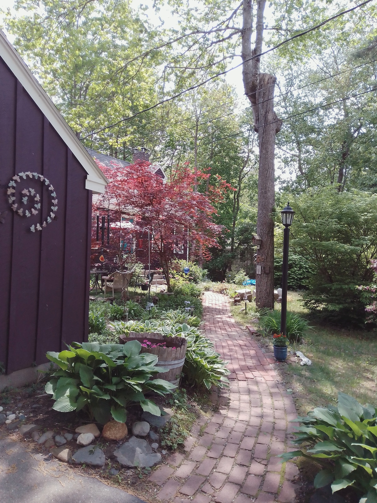 A brick pathway meanders through a lush garden, bordered by vibrant green foliage and flowering plants. A purple exterior of a building is visible on one side, while a decorative lamp post and a red-leafed tree add charm. Sunlight filters through the trees, creating a serene environment.