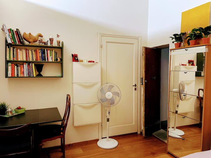 Small apartment in the old town