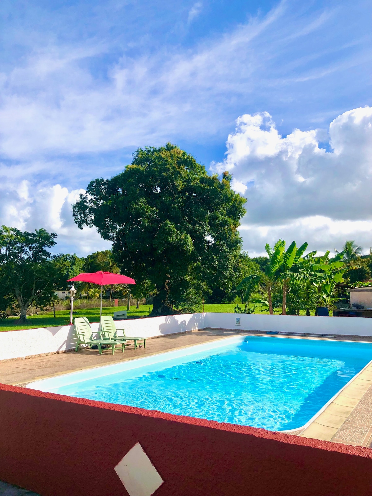 An outdoor pool is surrounded by a white wall, with two green lounge chairs positioned under a red umbrella. Lush trees and greenery create a vibrant backdrop, complemented by a clear blue sky dotted with clouds.