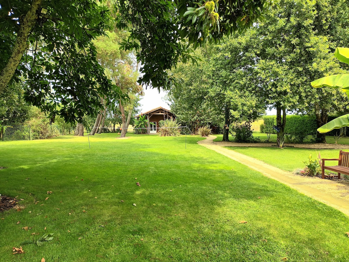 A spacious yard is surrounded by lush greenery, featuring a well-kept lawn with pathways that lead to a wooden chalet. Benches are placed throughout the garden, providing shaded seating areas under the trees.