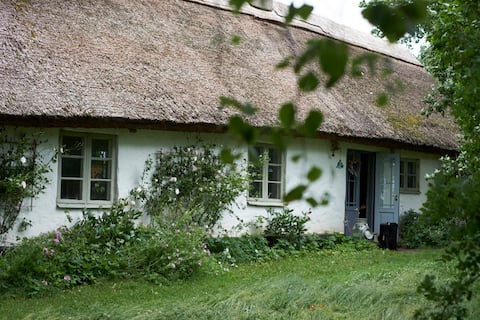 An adorable house built 1870 with thatched roof