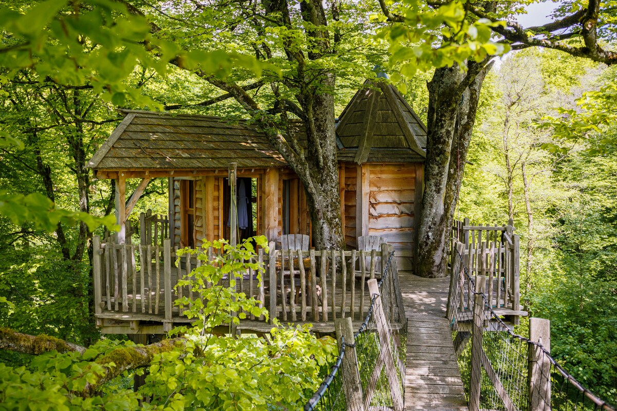 A wooden cabin nestled among lush green trees, featuring a sloped roof and a rustic design. A wooden walkway connects the cabin to the surrounding nature, with a railing of natural wood providing a sense of safety.