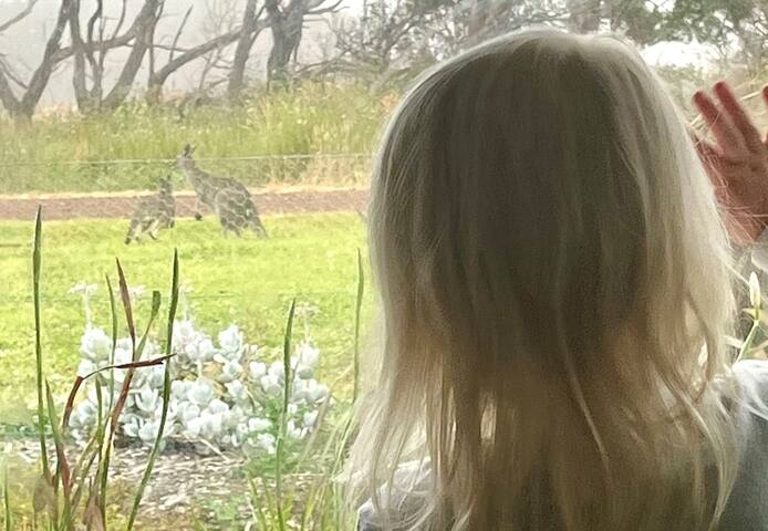 The Farmhouse-Historic Ocean View Homestead gallery image 4