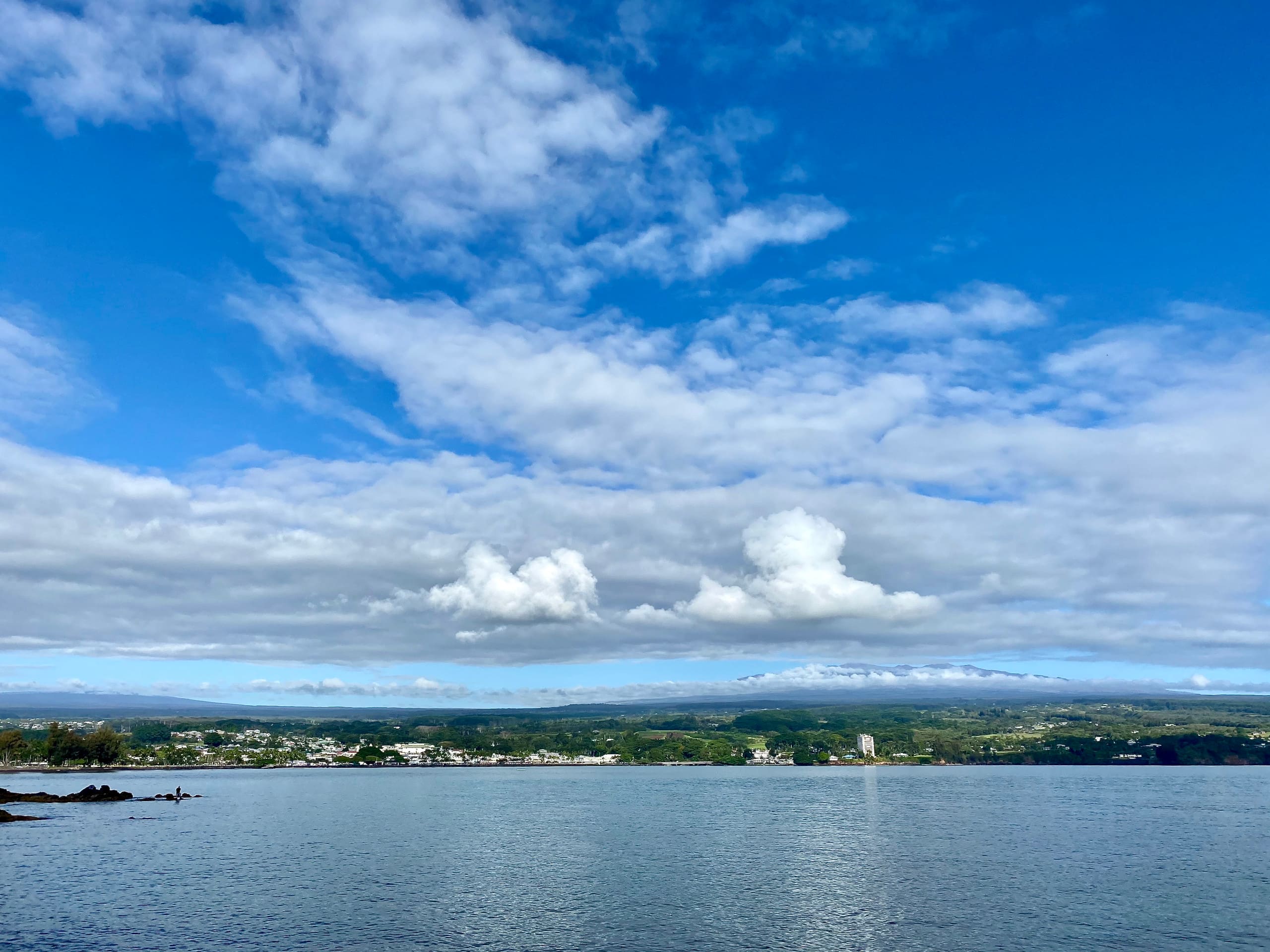 Home in Hilo · ★4.97 · 3 bedrooms · 4 beds · 2 private baths - Image 5