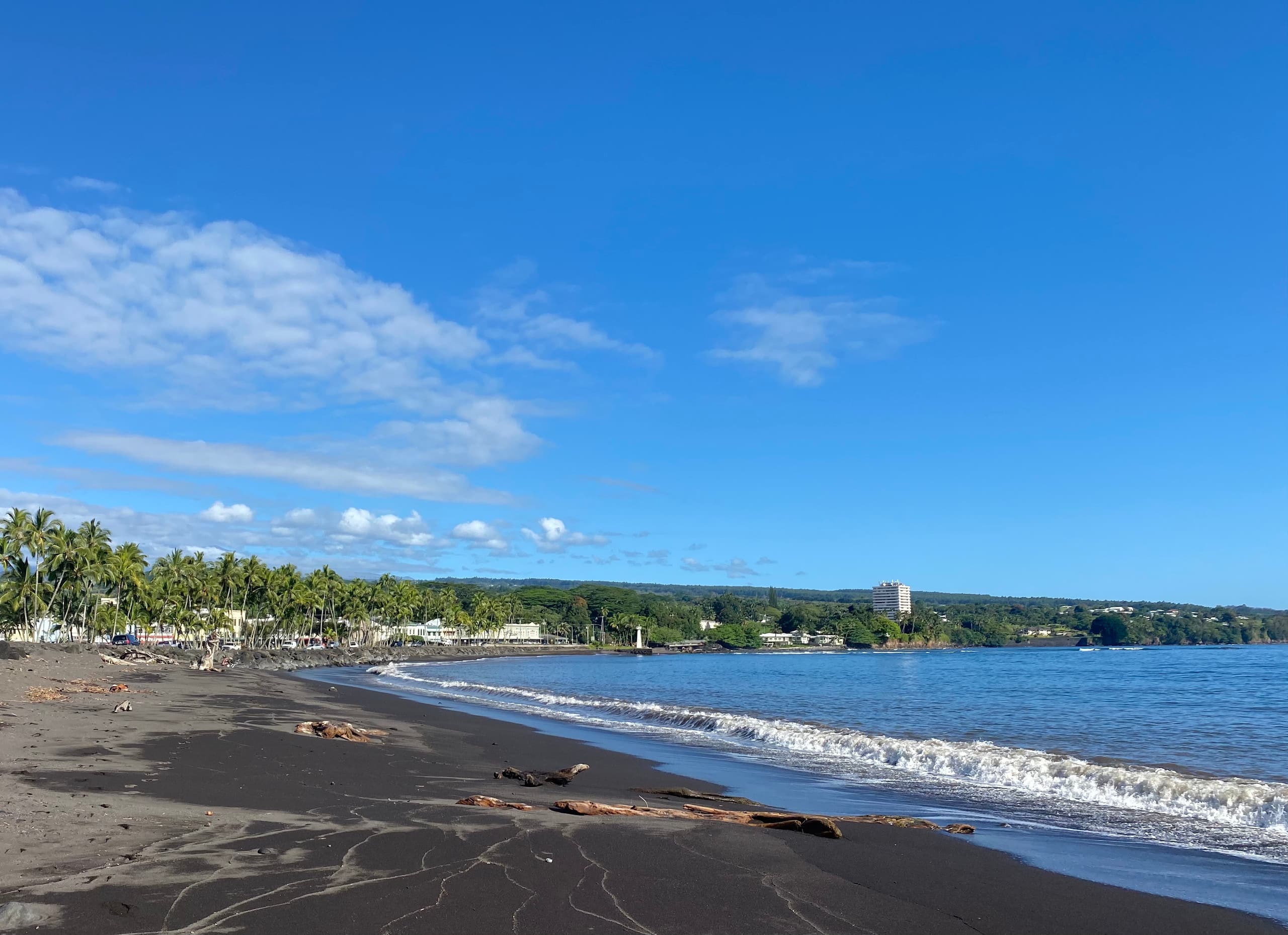 Home in Hilo · ★4.97 · 3 bedrooms · 4 beds · 2 private baths - Image 6