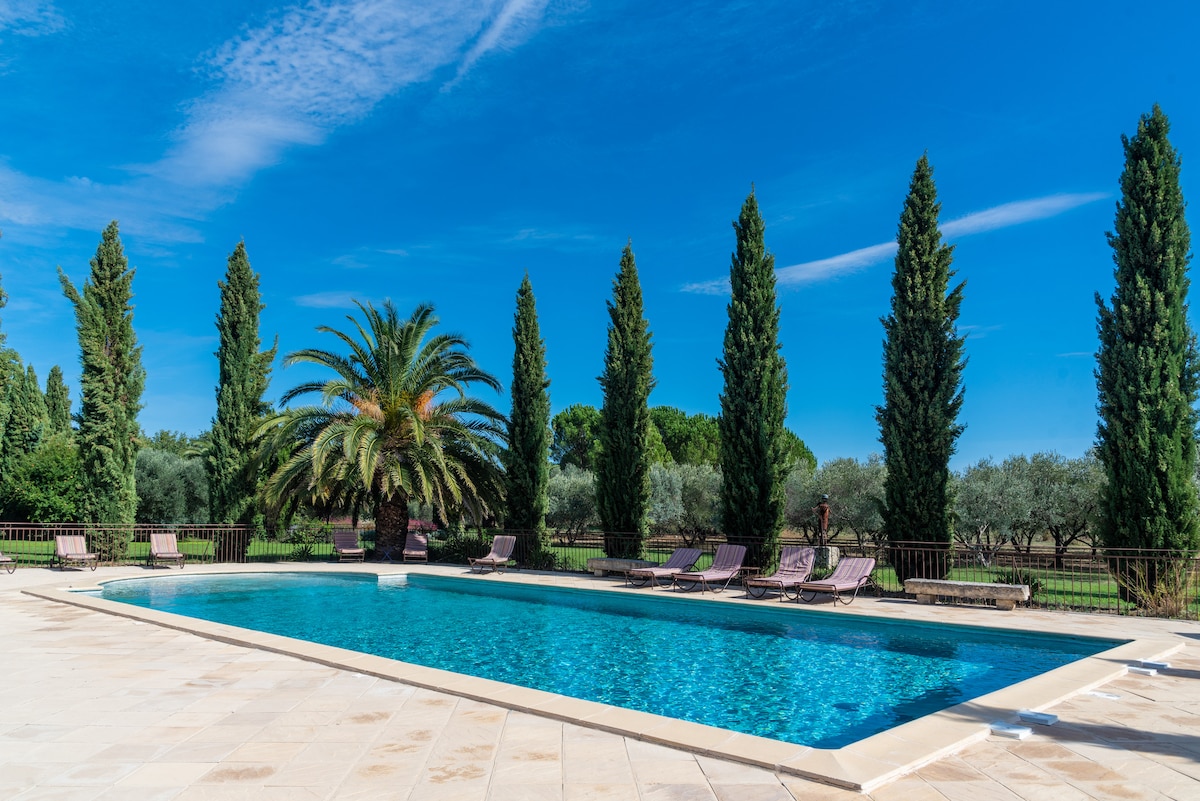 A large swimming pool is surrounded by sun loungers and palm trees. Tall cypress trees line the perimeter, framing the serene view of olive groves in the background. The clear blue sky enhances the tranquil atmosphere of the outdoor space.