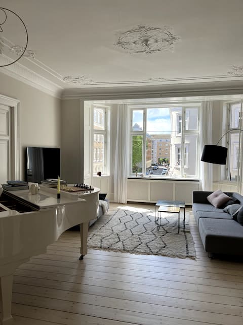 Luxurious apartment in the center of Copenhagen