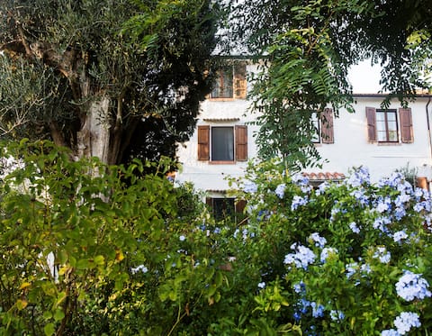 Casa Doris