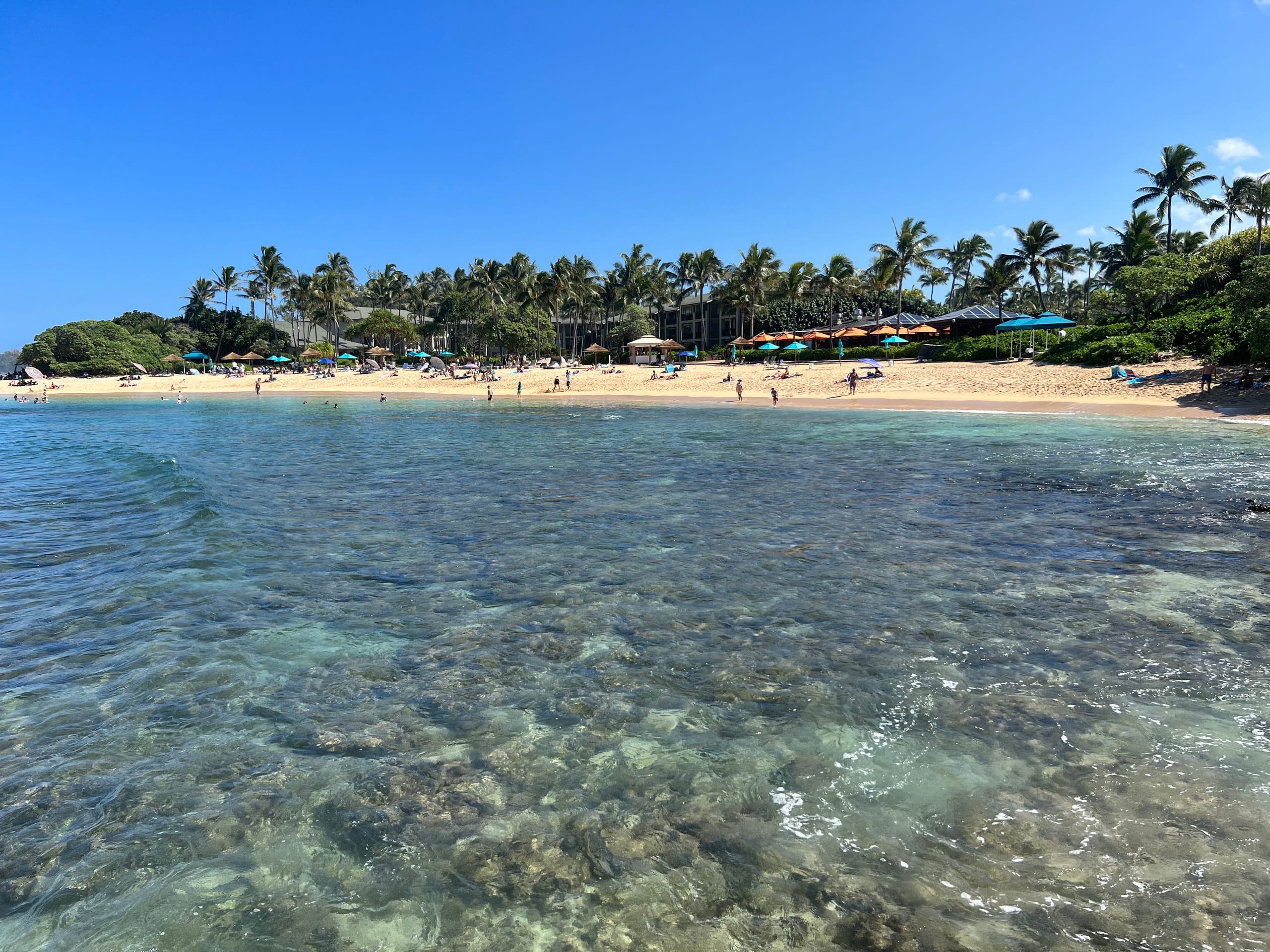 Condo in Kahuku · ★4.85 · 1 bedroom · 2 beds · 1 private bath - Image 37