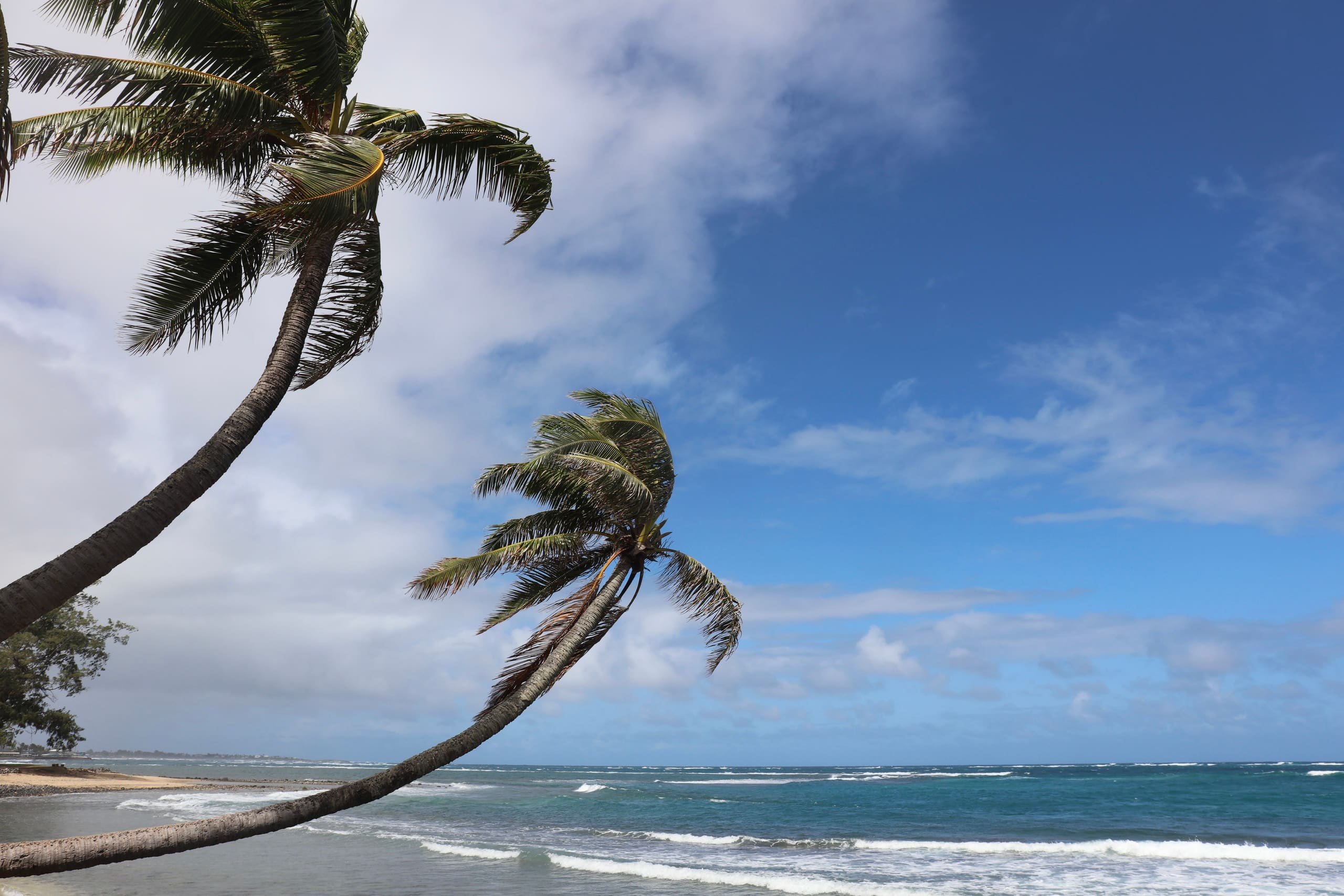 Condo in Kahuku · ★4.85 · 1 bedroom · 2 beds · 1 private bath - Image 51