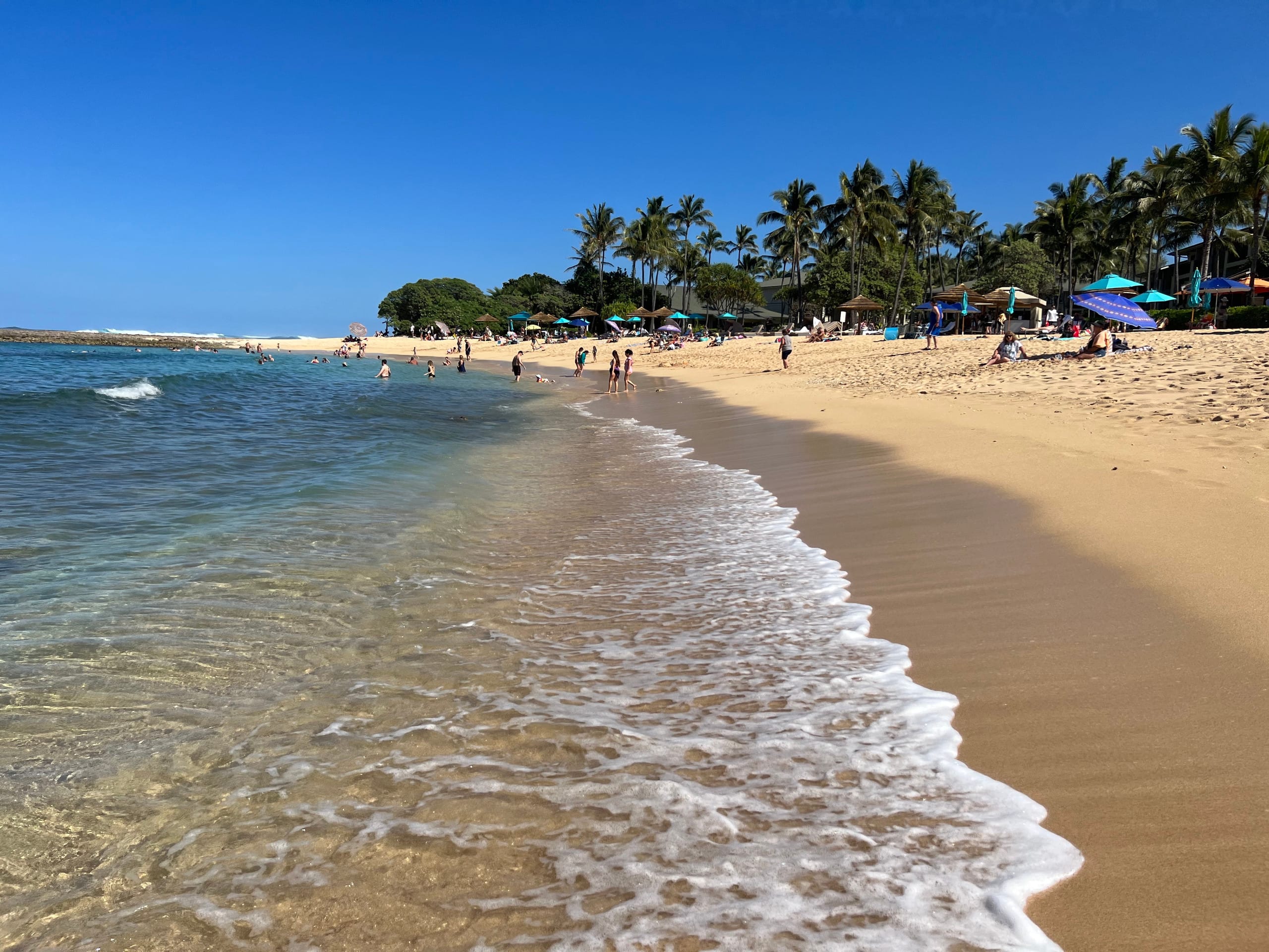 Condo in Kahuku · ★4.85 · 1 bedroom · 2 beds · 1 private bath - Image 36