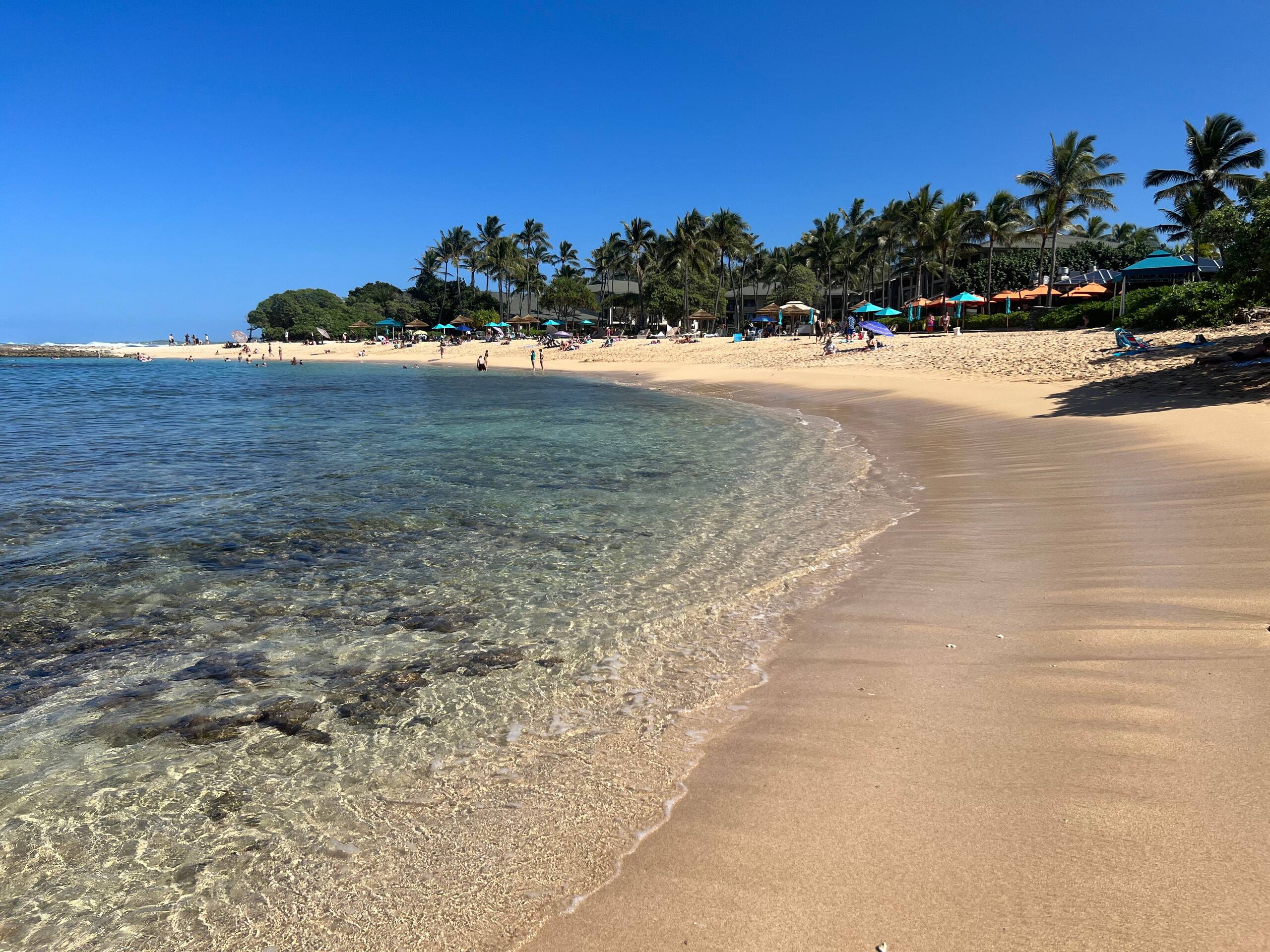 Condo in Kahuku · ★4.85 · 1 bedroom · 2 beds · 1 private bath - Image 35