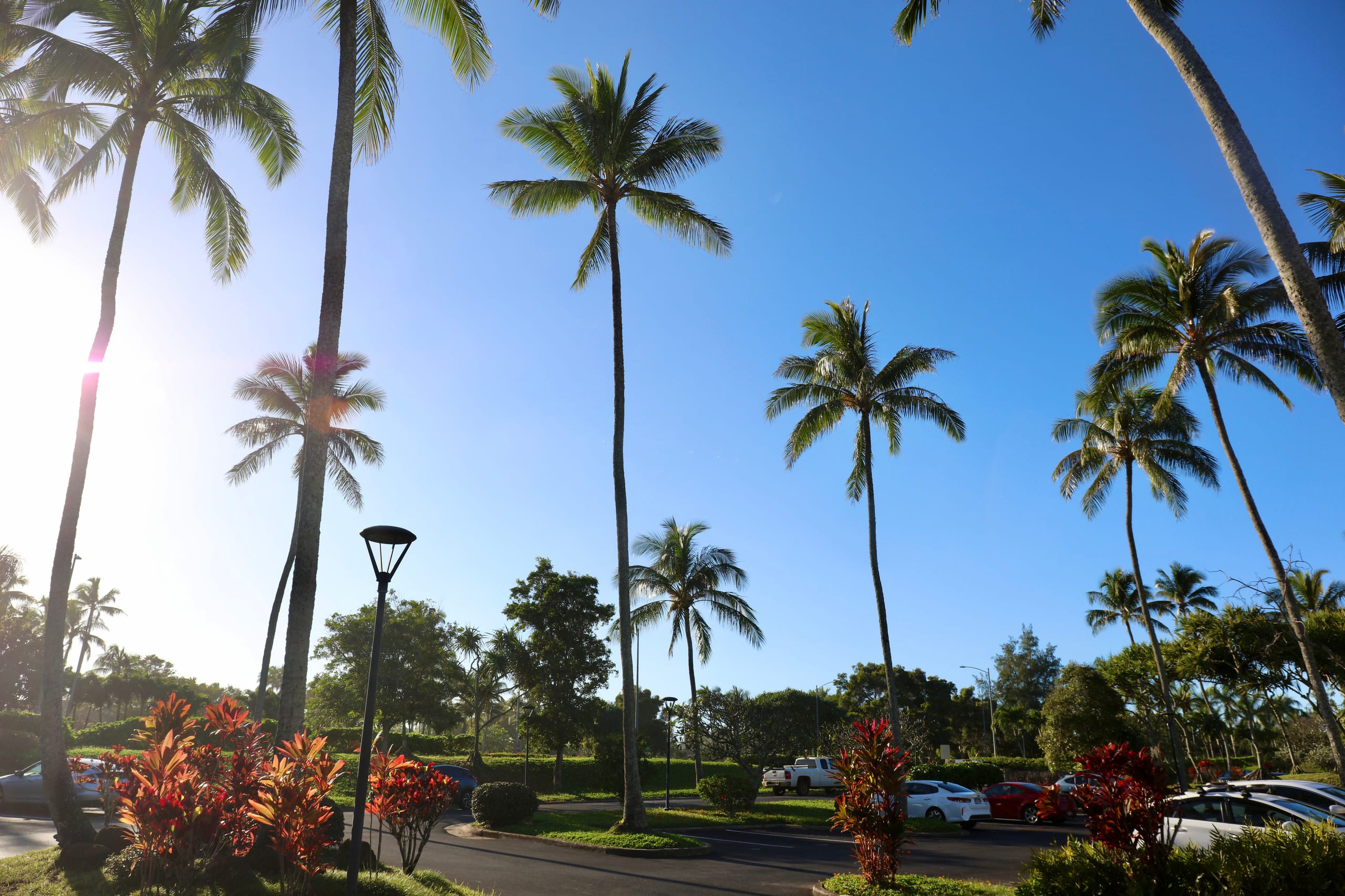 Condo in Kahuku · ★4.85 · 1 bedroom · 2 beds · 1 private bath - Image 33