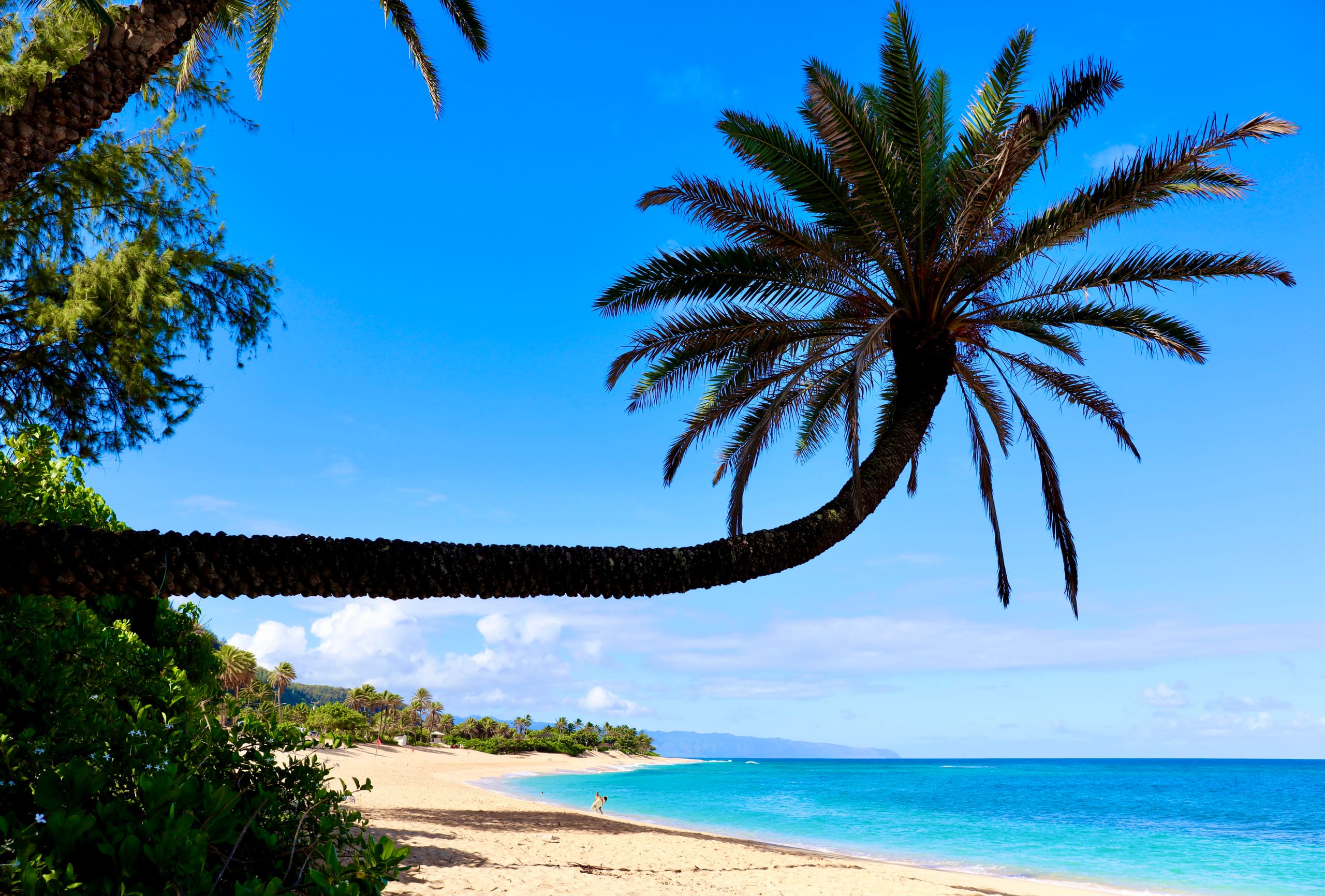 Condo in Kahuku · ★4.85 · 1 bedroom · 2 beds · 1 private bath - Image 29