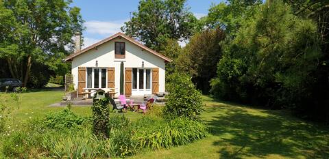 The bird field in Baie de Somme