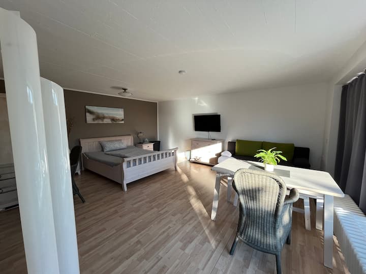 Дневен простор/спална соба.