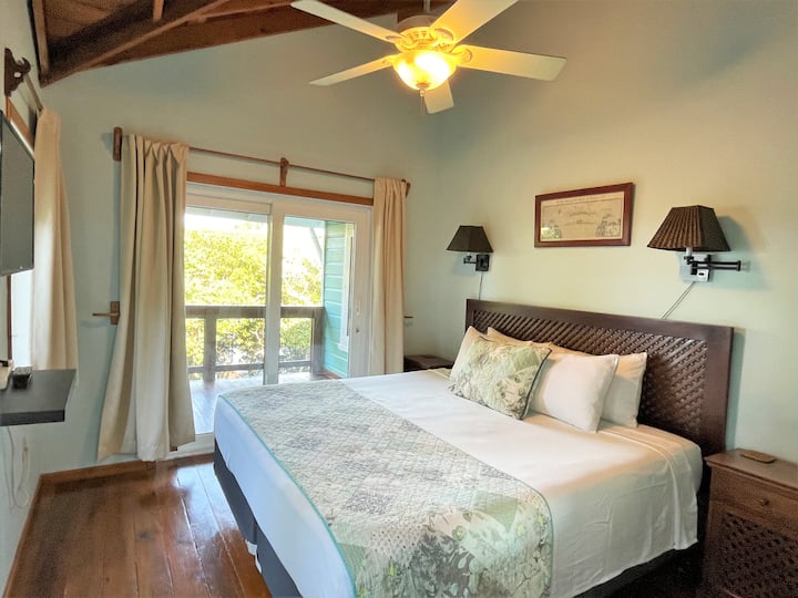 חדר שינה ראשי עם מזרן קינג סייז, חדר ארונות ופטיו פרטי