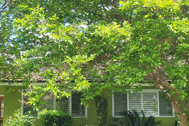 POOL HOME near Disneyland or Temporary Housing gallery image 2