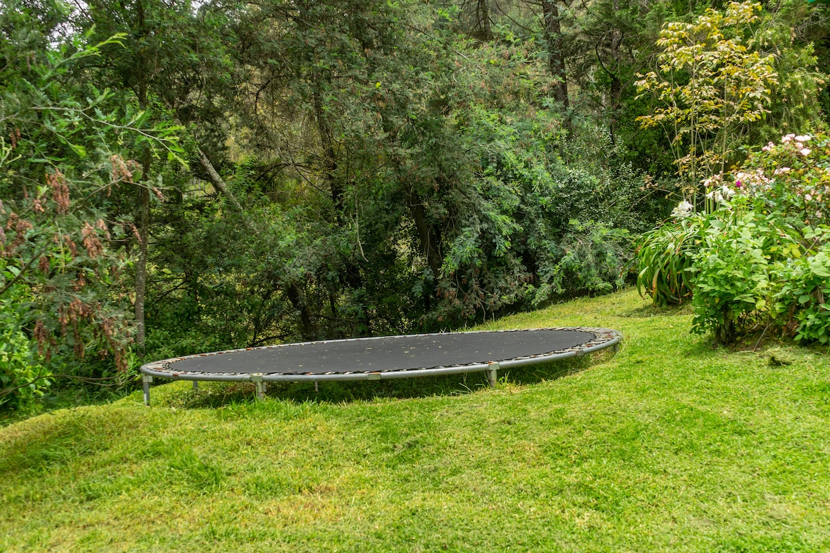 A circular trampoline is set within a lush green garden, surrounded by various plants and shrubs. The area is well-maintained, with vibrant foliage providing a natural backdrop. The soft grass invites outdoor activities in this tranquil setting.