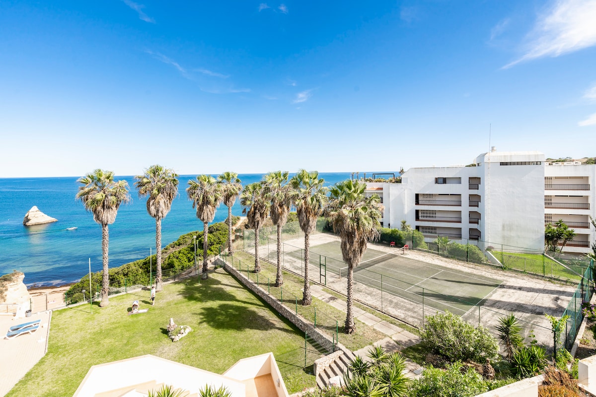 A scenic view captures the coastline alongside palm trees swaying gently in the breeze. A tennis court is visible nestled within lush green grass, with the calm blue sea and a rocky formation in the background, showcasing an inviting outdoor space.