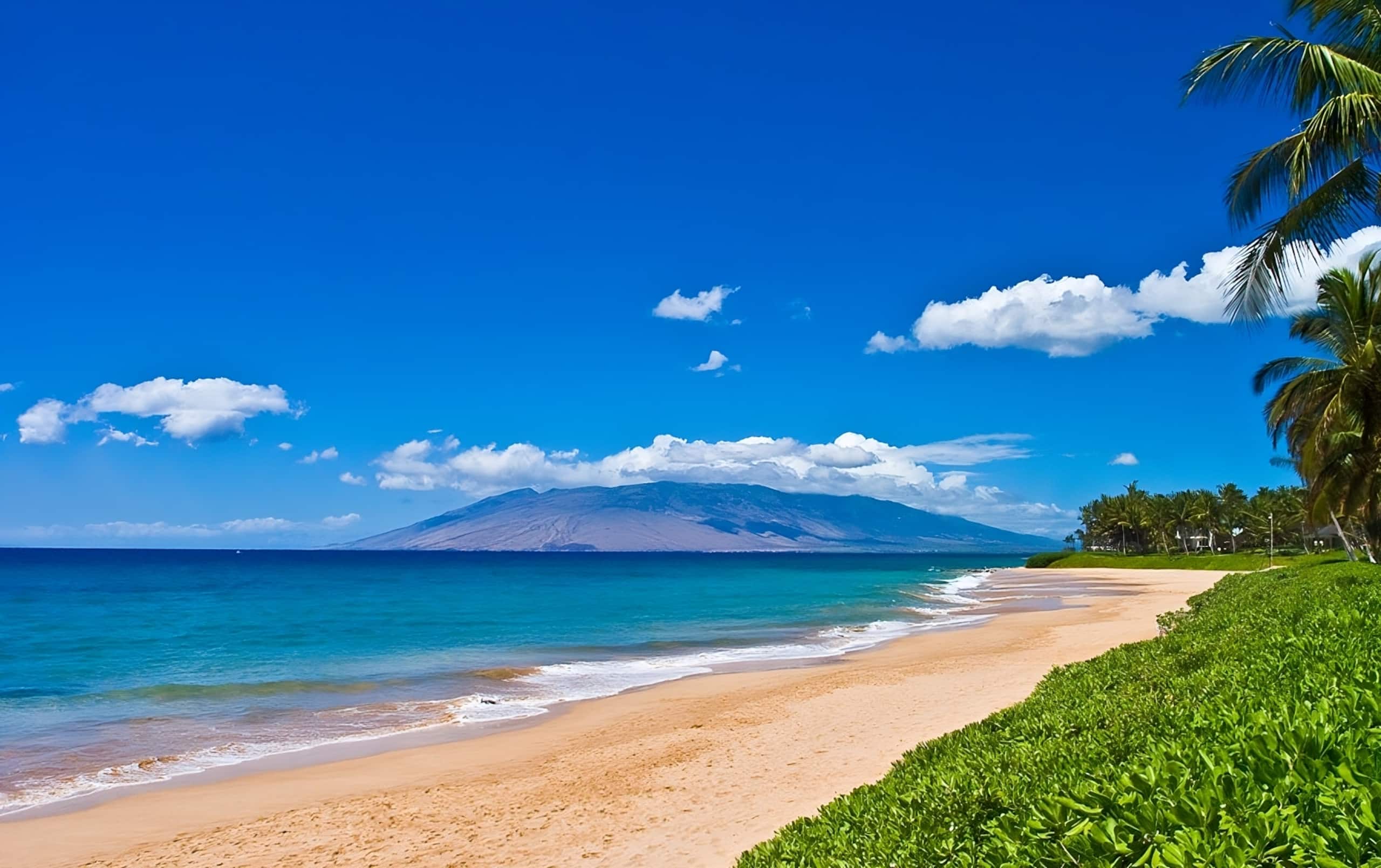 Condo in Kihei · ★4.98 · 1 bedroom · 1 bed · 2 baths - Image 40
