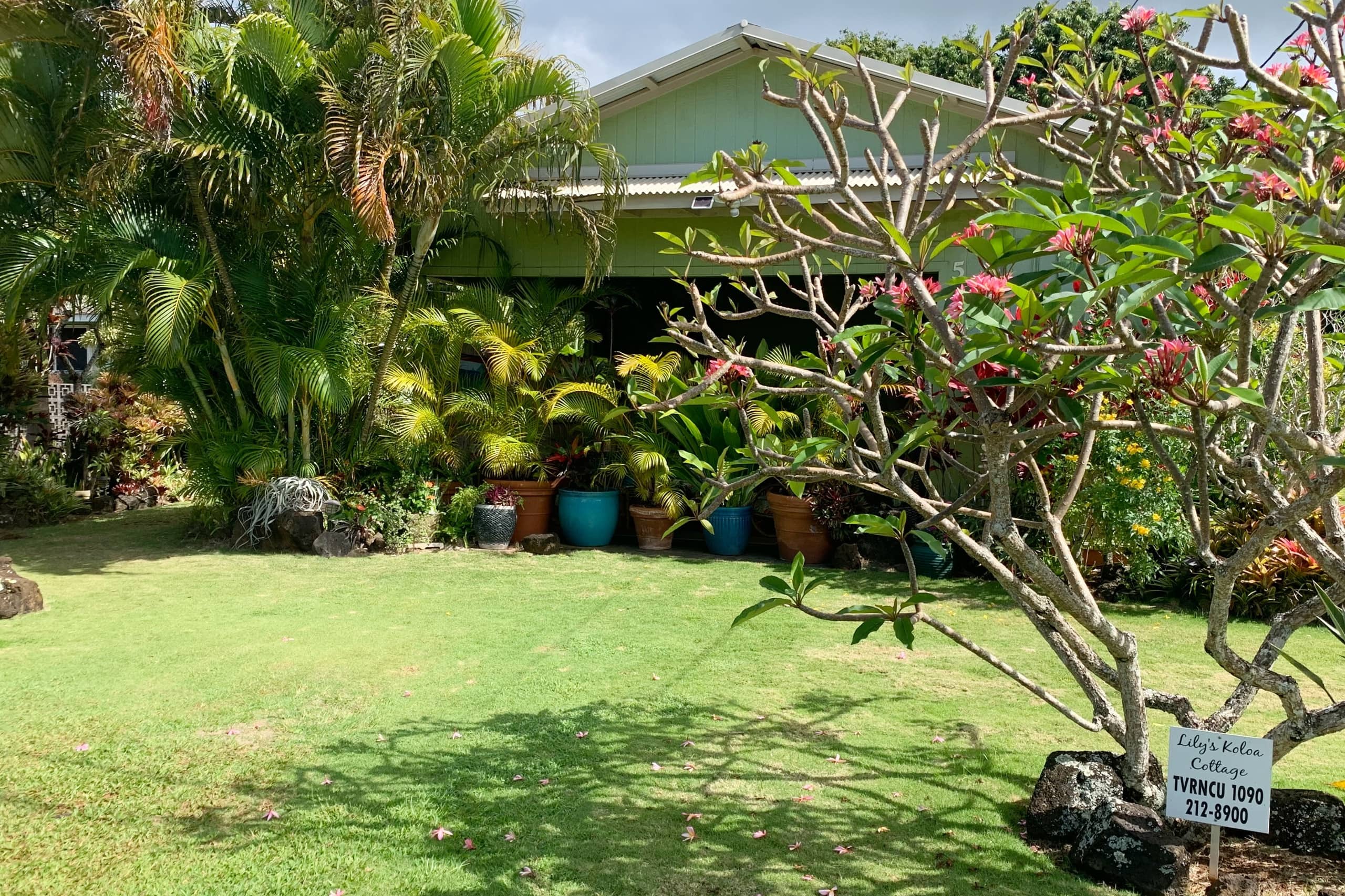 Stylish beach house a short walk to Koloa fun! - Photo 22