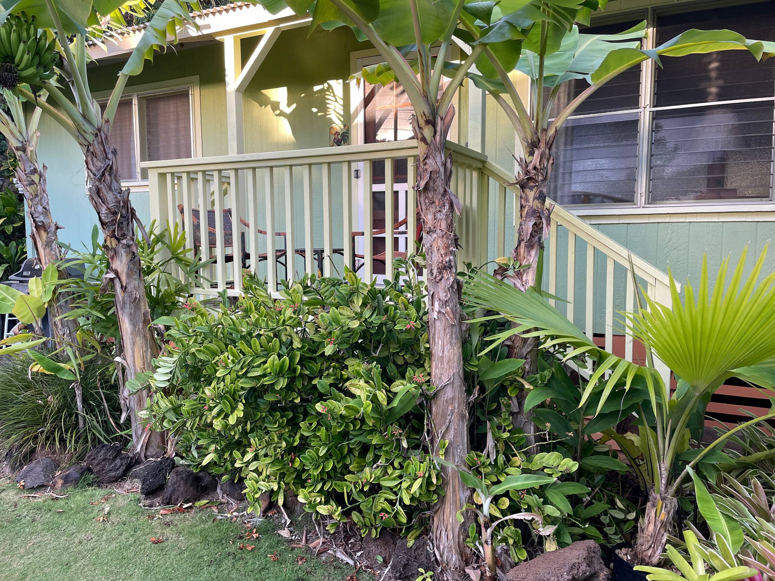 Stylish beach house a short walk to Koloa fun! - Photo 18