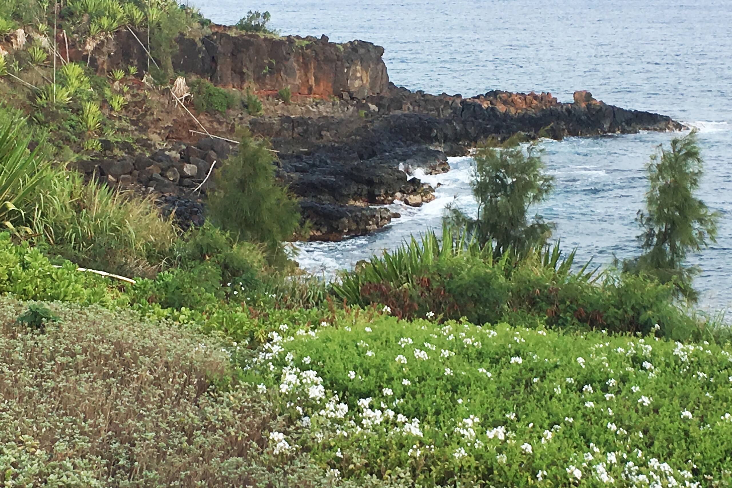Stylish beach house a short walk to Koloa fun! - Photo 33