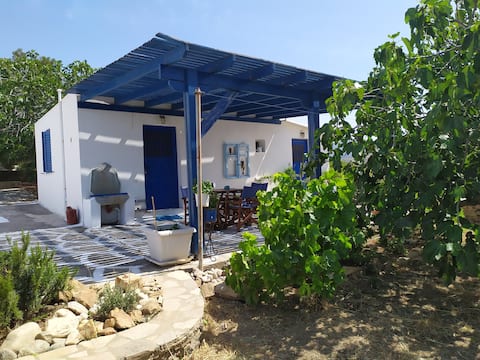 Top performing Airbnb: Sofia's House in Περιφερειακή Ενότητα Νάξου