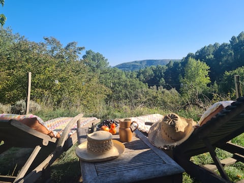 Cozy Cottage with a Stunning View