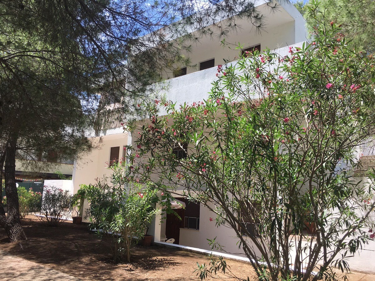 The apartment building is set amidst a lush pine grove, with blooming bushes in the foreground. The white exterior features multiple balconies, while the surrounding area displays a sunlit, natural landscape, providing a serene and peaceful environment.
