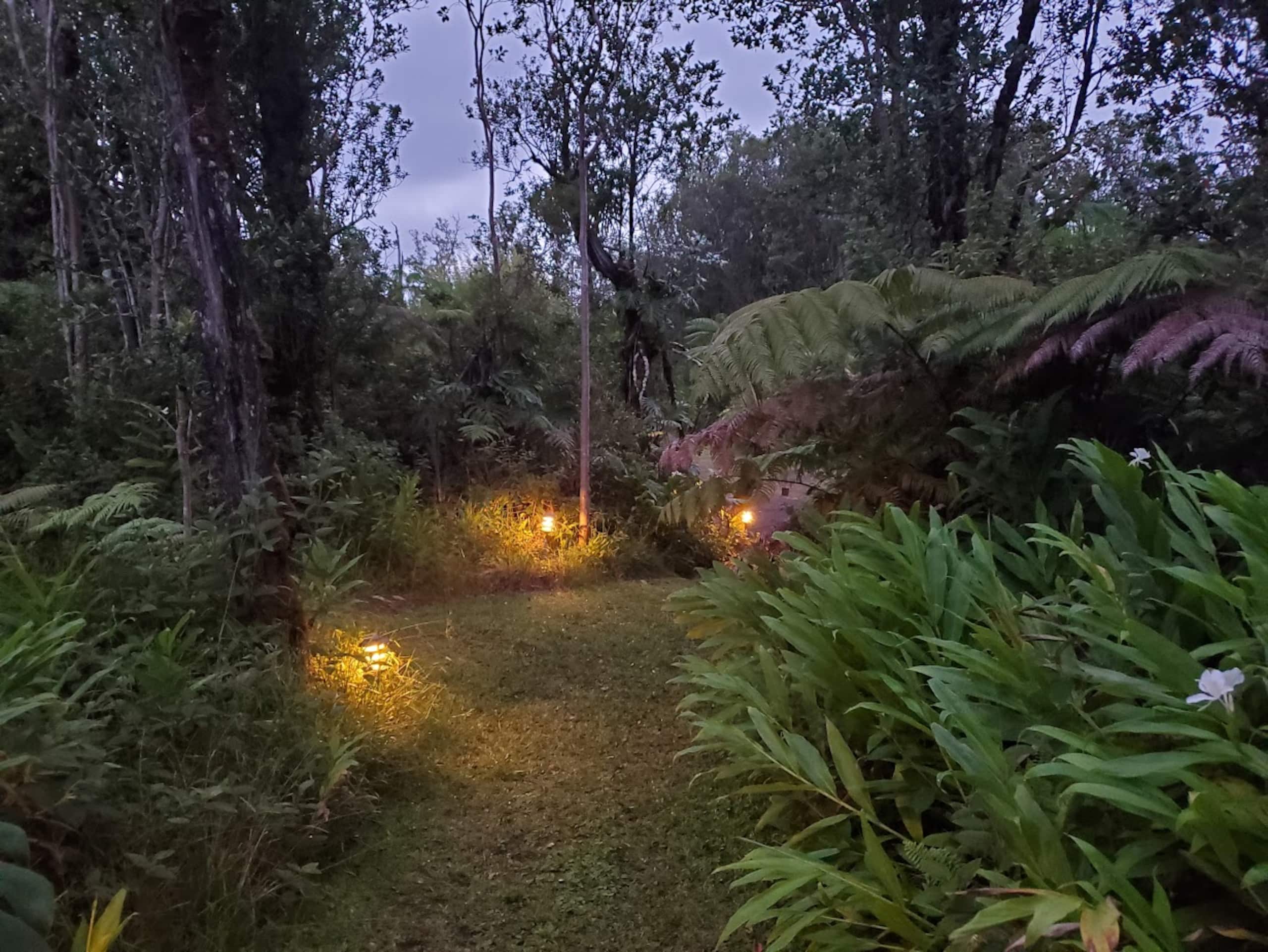 Guesthouse in Volcano · ★4.98 · 1 bedroom · 1 bed · 1 private bath - Image 38
