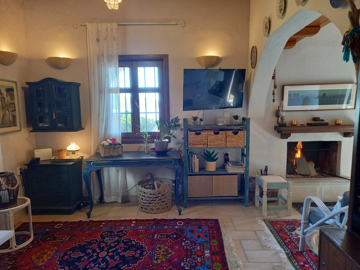 A cozy living area features a television mounted on the wall, surrounded by natural light from the windows. A decorative rug covers the floor, while handmade furniture and plants add character. A fireplace complements the space, providing a warm ambiance.