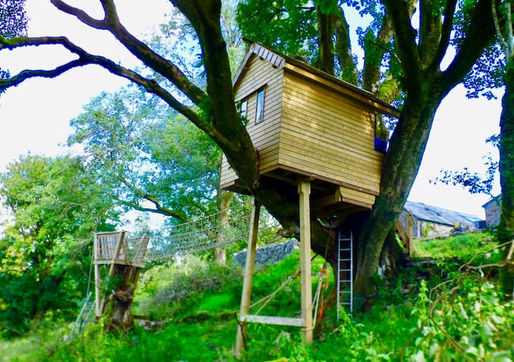The ‘Wow!’ side view of the tree-house complex