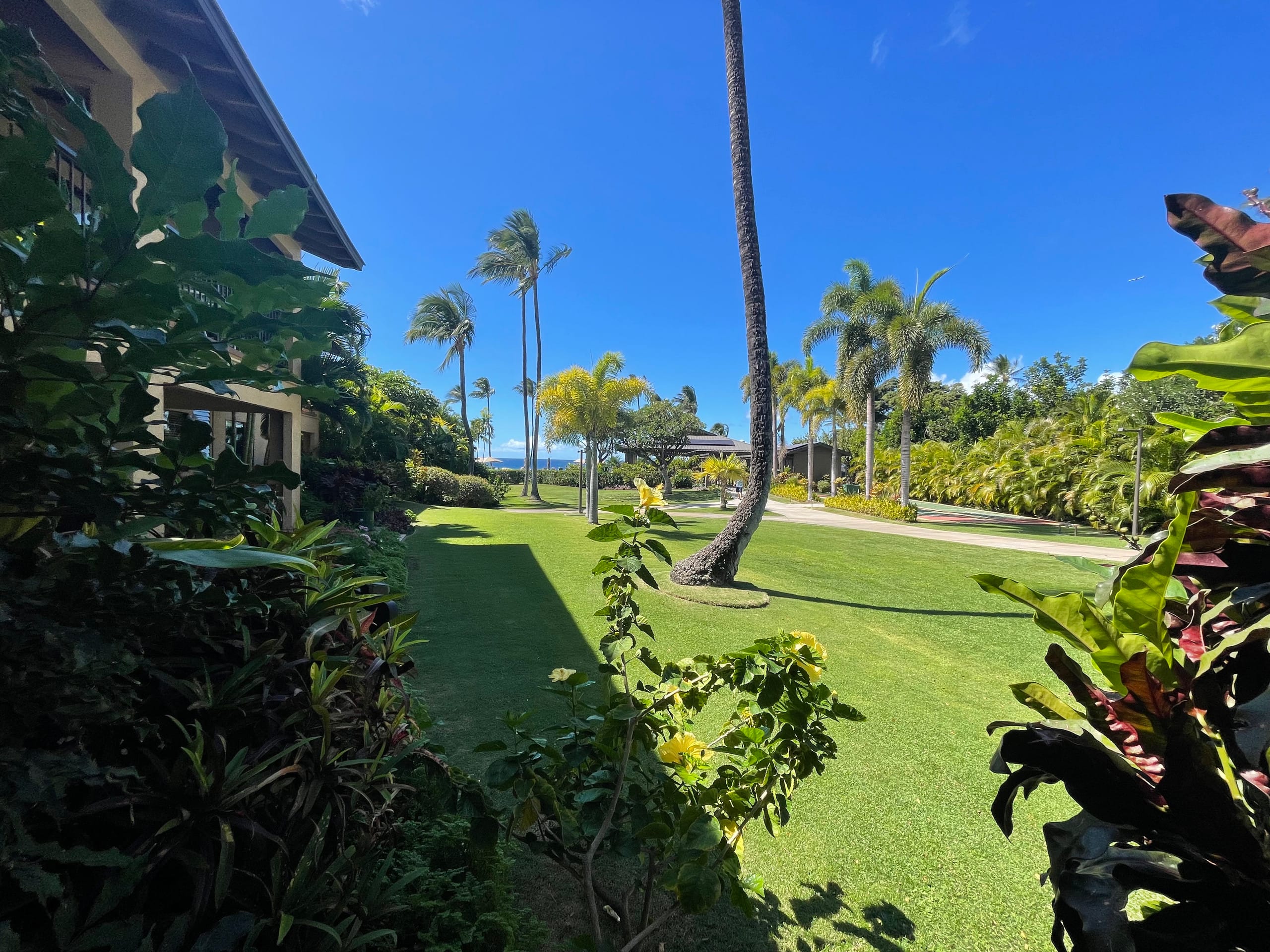 Condo in Kihei · ★4.96 · Studio · 2 beds · 1 bath - Image 1