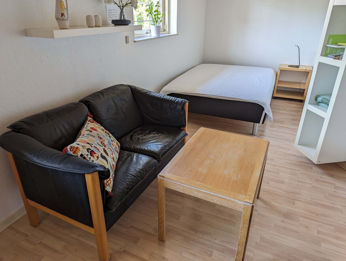 Divan + krevat dopio