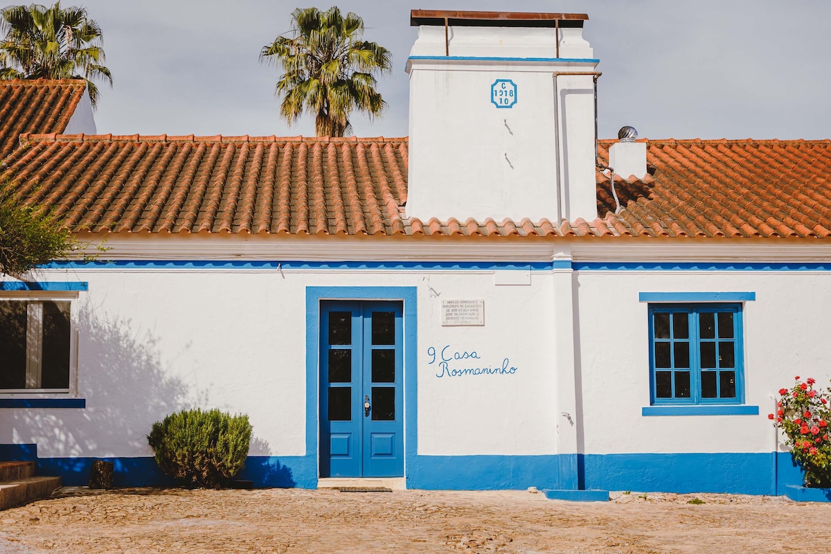 The exterior of a traditional Alentejo house is depicted, featuring whitewashed walls and a red-tiled roof. Bright blue doors and window frames add a pop of color. Palm trees and shrubs enhance the surrounding area, creating an inviting entrance to the property.