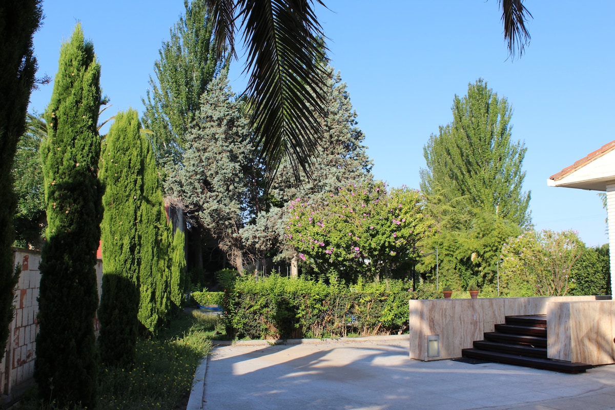 A spacious outdoor area is surrounded by lush green trees and shrubs. A pathway leads up to a raised platform with steps, providing access to the entrance of a chalet. Various types of vegetation create a serene environment with ample sunlight.