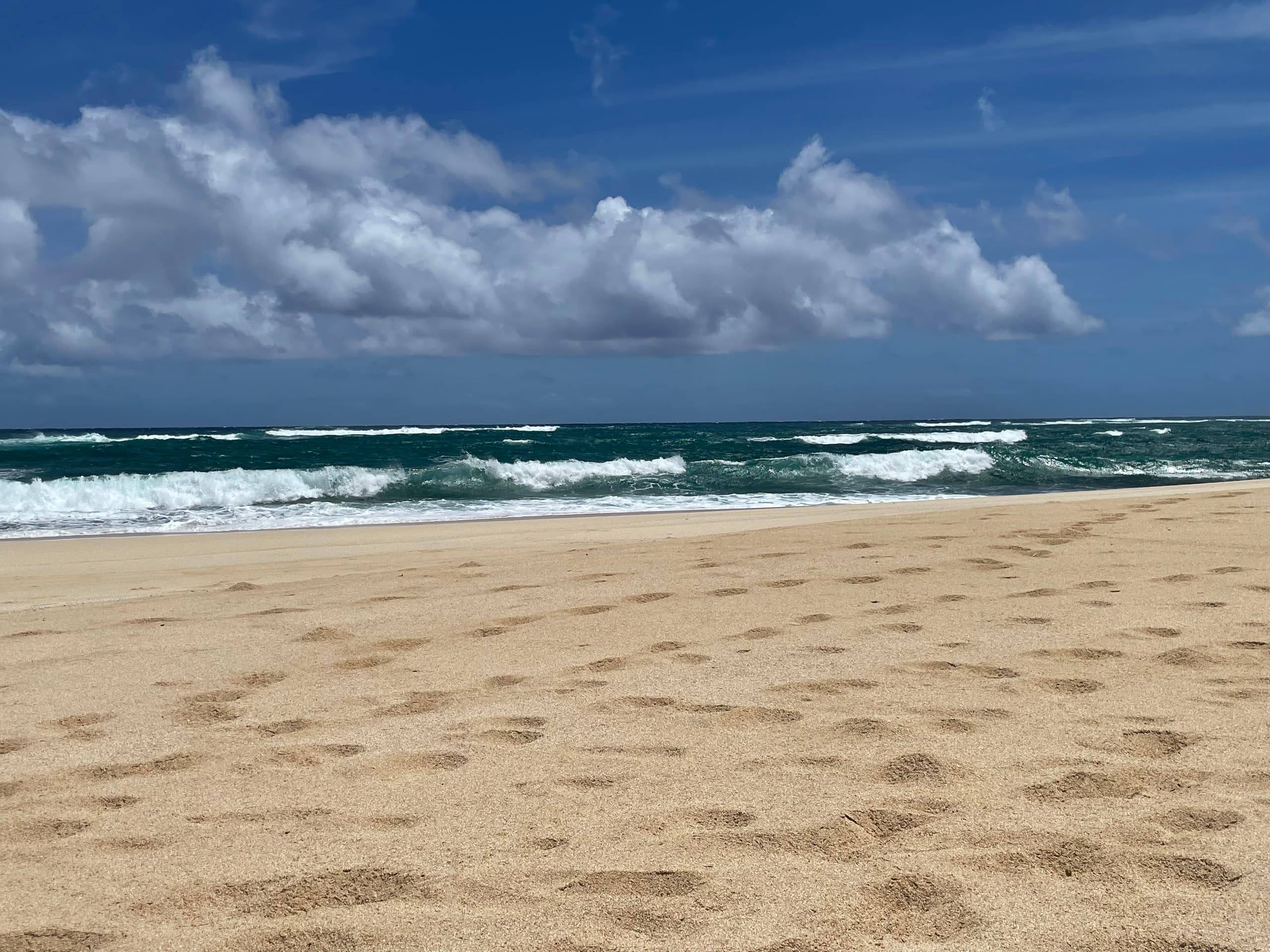 Condo in Kahuku · ★4.89 · 2 bedrooms · 4 beds · 1 private bath - Image 60