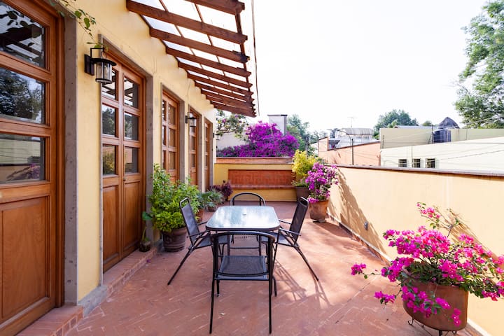 Amazing apartment in the center of Coyoacan