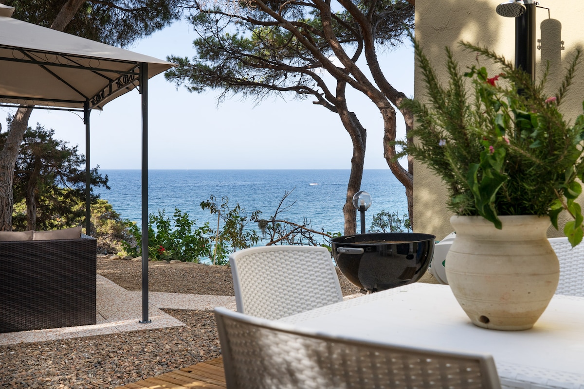 An outdoor dining area is presented with a white table and chairs, accompanied by a potted plant. A barbecue grill and a shaded gazebo are visible, situated against the backdrop of the sea. Lush trees provide a natural border alongside the coastline.