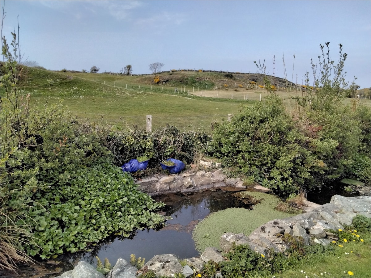 A natural landscape features a small, serene pond surrounded by lush greenery and various plants. The water reflects the open sky, and a gently sloping hill is visible in the background, dotted with sparse trees. Stones border the pond, enhancing the tranquil scene.
