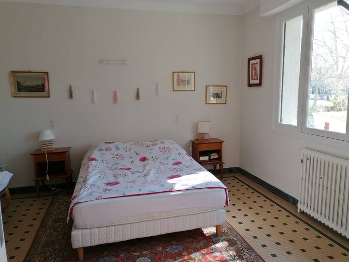 ห้องวิวป่า