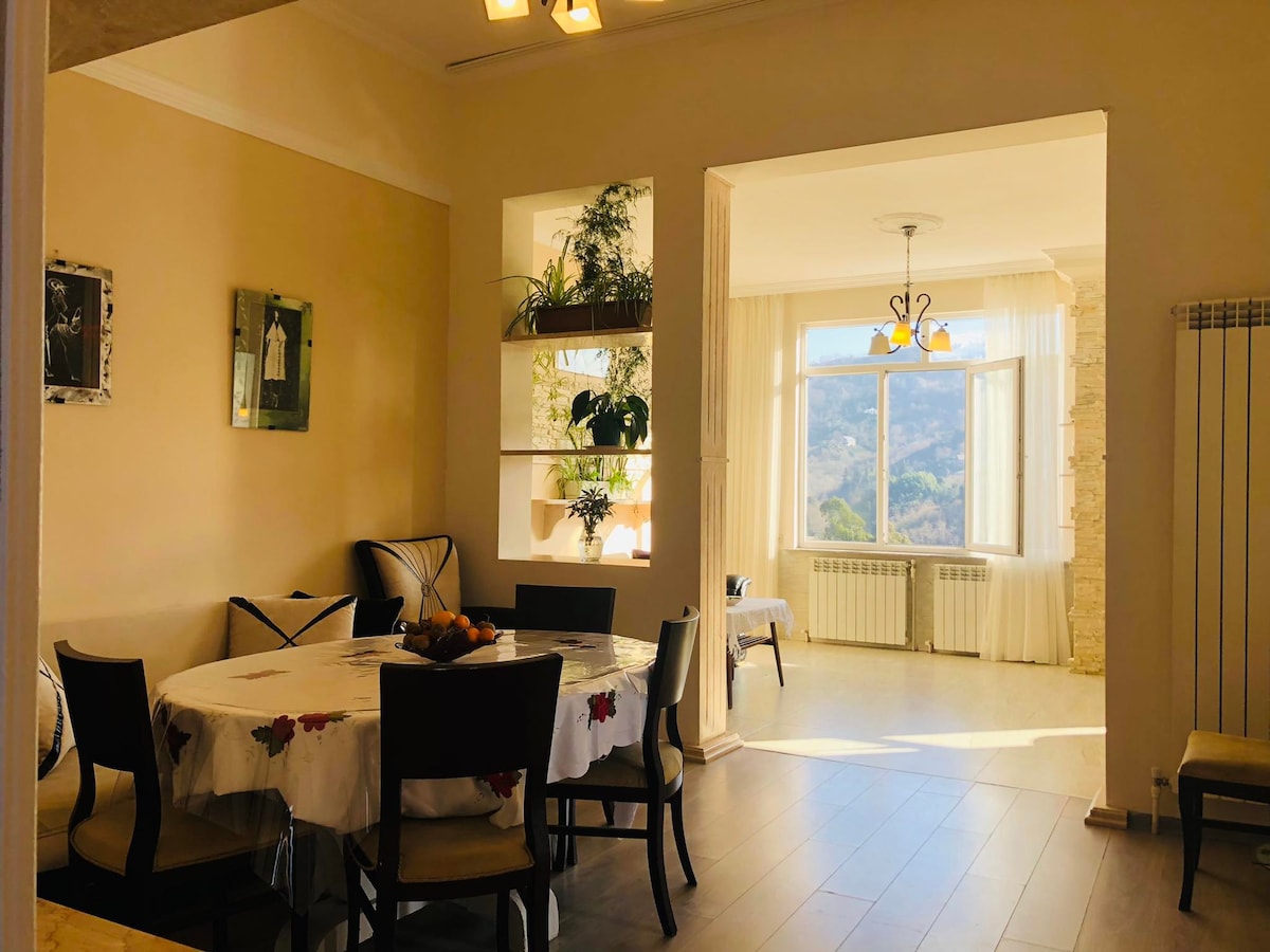 A dining area features a round table set with a floral tablecloth, surrounded by several chairs. Natural light pours in from a large window, highlighting the mountain view. Plants are arranged on shelves, adding a touch of greenery to the space.