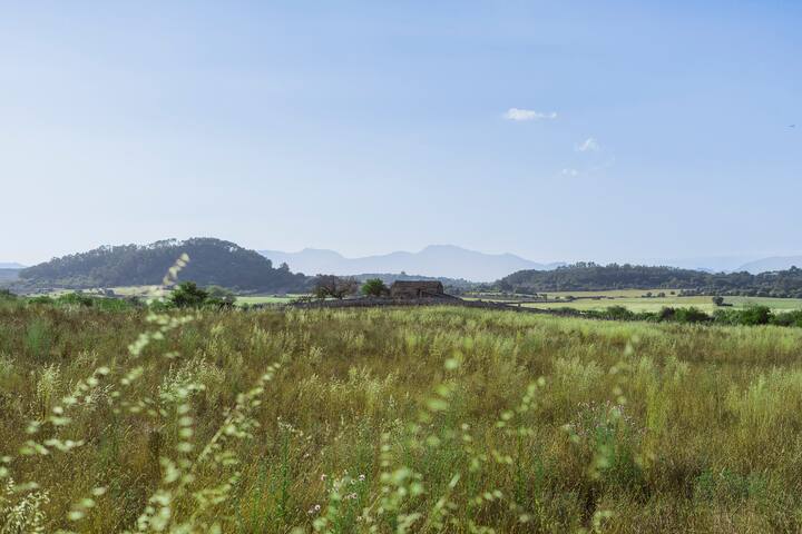 Luxury Eco Holiday Finca with 360° panoramic view gallery image 3