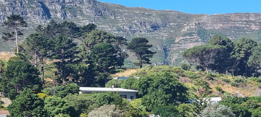 Views, trees, peace gallery image 3