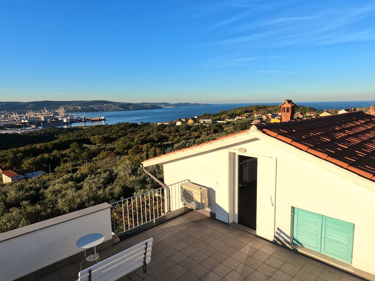 The rooftop terrace features panoramic views of the sea and surrounding landscape, framed by olive trees. A small round table and a bench are positioned on the tiled floor, creating an inviting outdoor space. The clear sky enhances the scenic backdrop of the coastline.